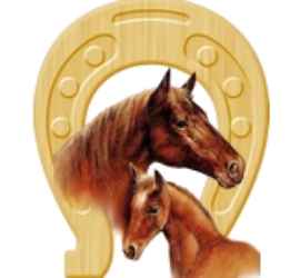 Custom Horse Corrals